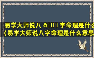 易学大师说八 🐒 字命理是什么（易学大师说八字命理是什么意思）